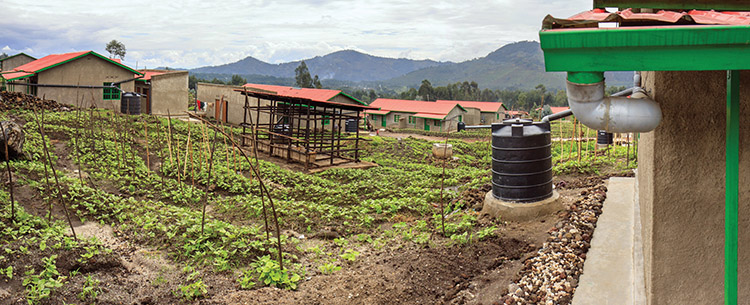 A farm in Africa