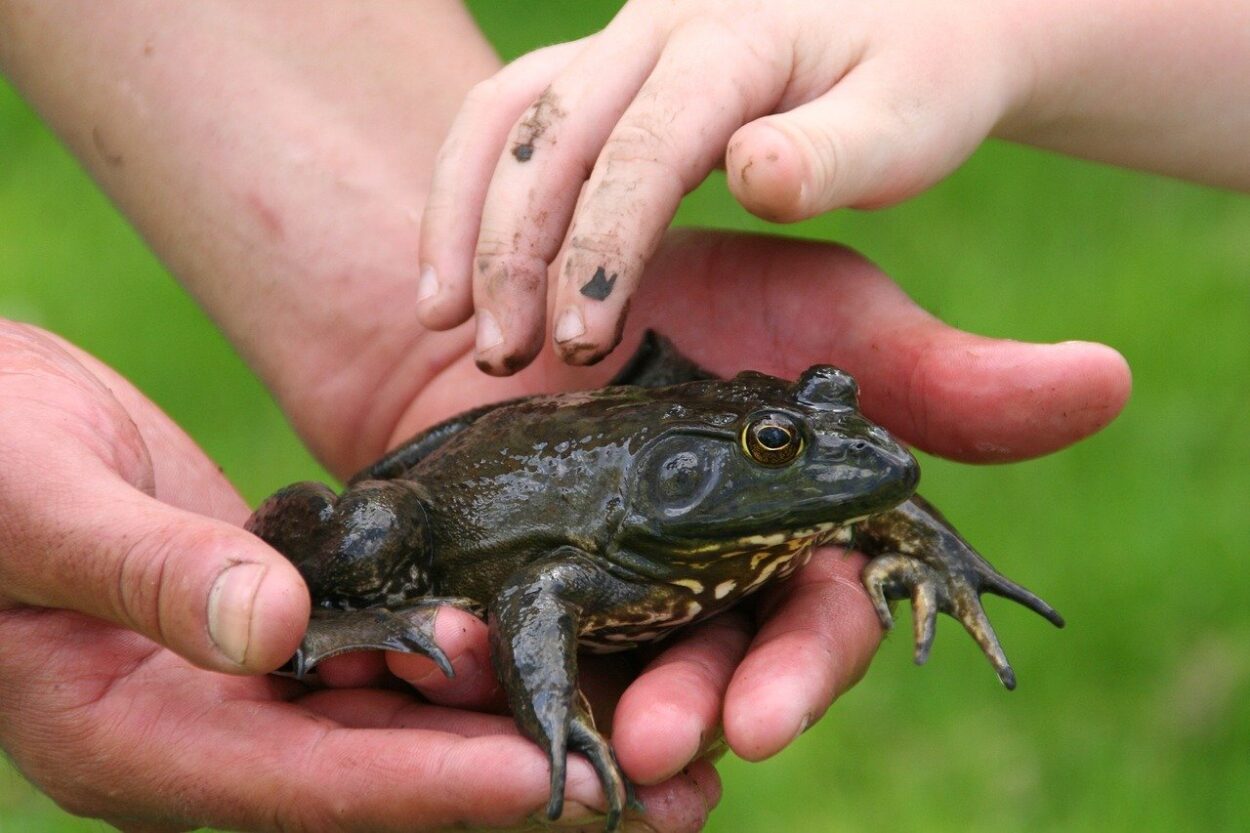 adult and child holding muddy frog
