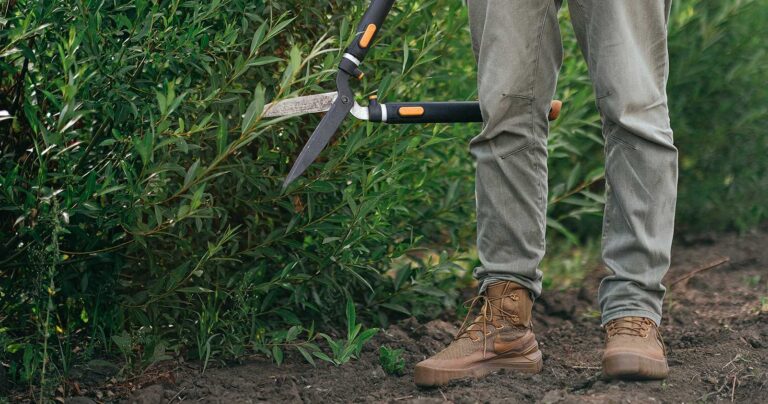 persons legs standing next to plants, with a pair of hedge trimmers at the ready.