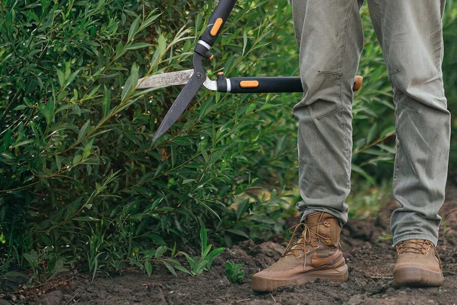 persons legs standing next to plants, with a pair of hedge trimmers at the ready.