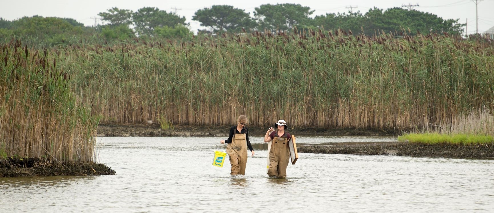 Under the Surface of East Harbor