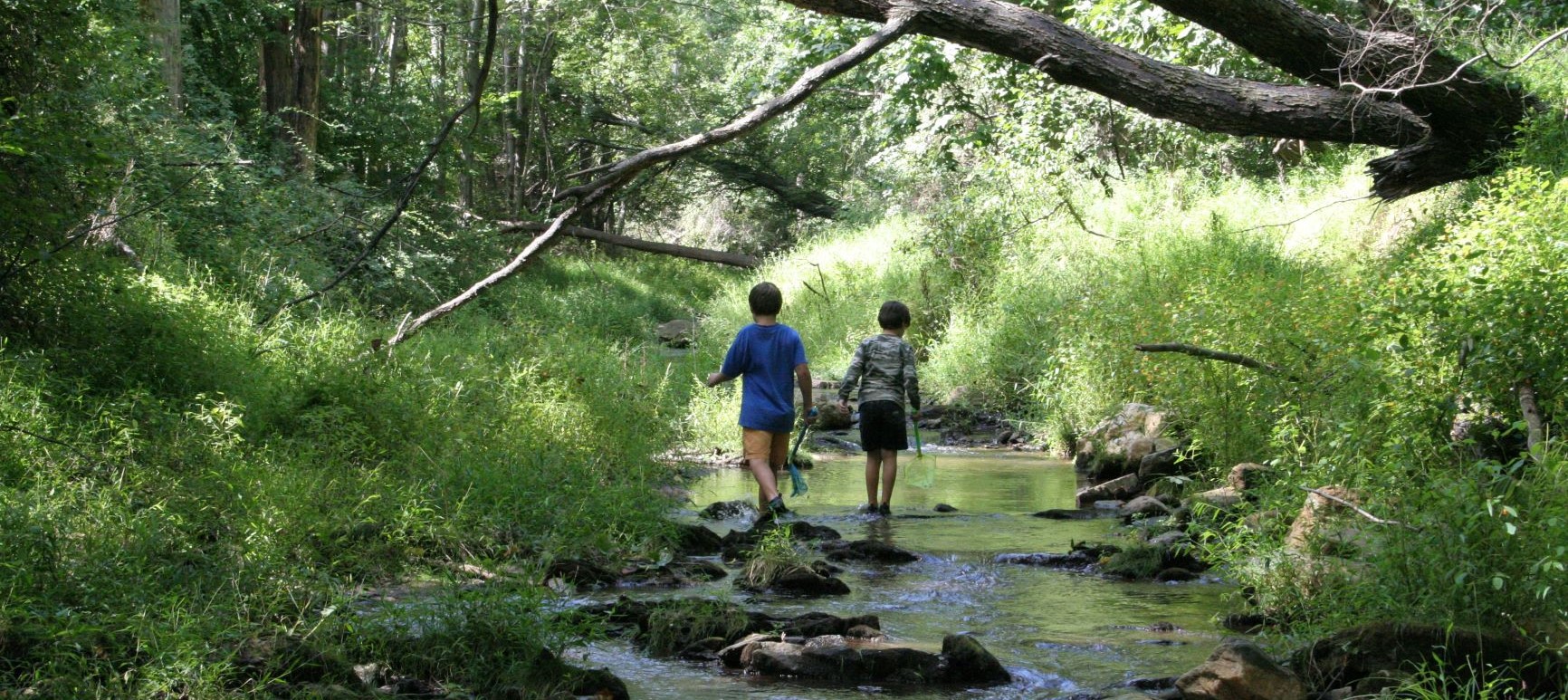 Cool Course: “Childhood and Nature: Design Principles for Educators”
