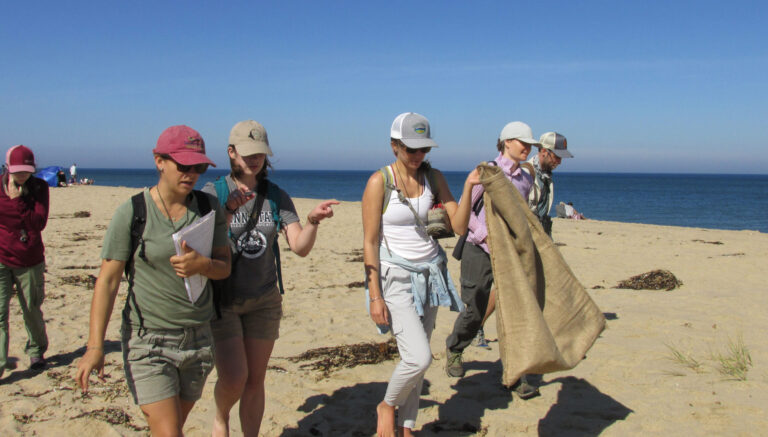 Coastal Geoecology students on the beach