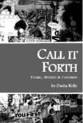 "Call if Forth" book cover