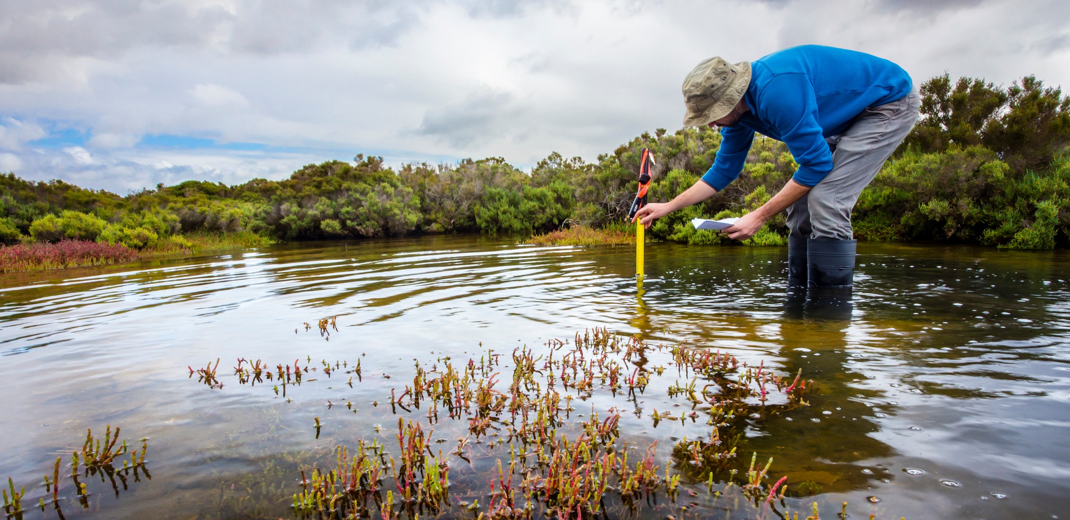 Antioch’s RMA Program Teaches Students to Address Complex Challenges in Changing Landscapes