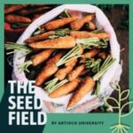 Seed field podcast cover image; carrots in a sack