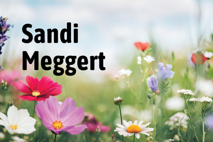 Sandi Meggert: flower background