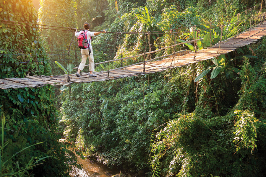 Individual walking across wooden bridge in jungle