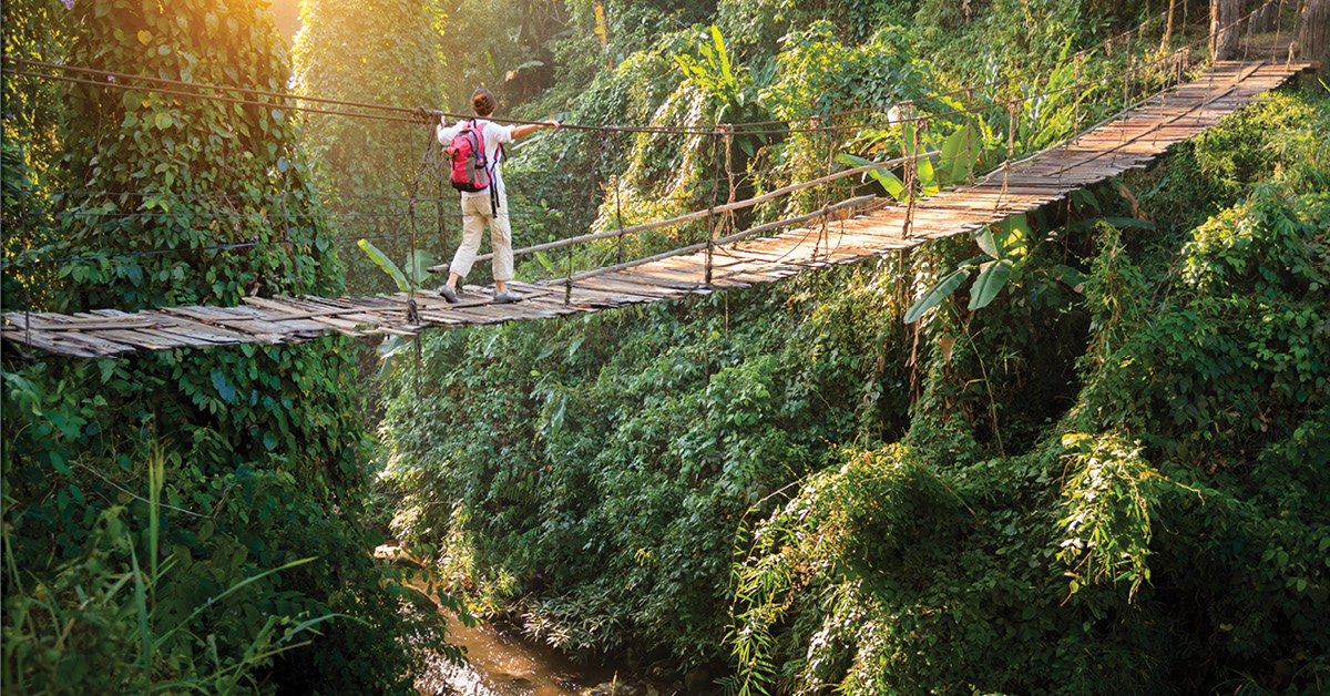 Individual walking across wooden bridge in jungle