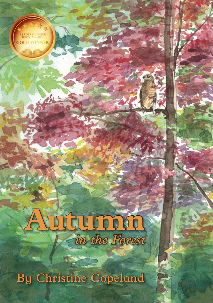 Autumn in the Forest Book Cover