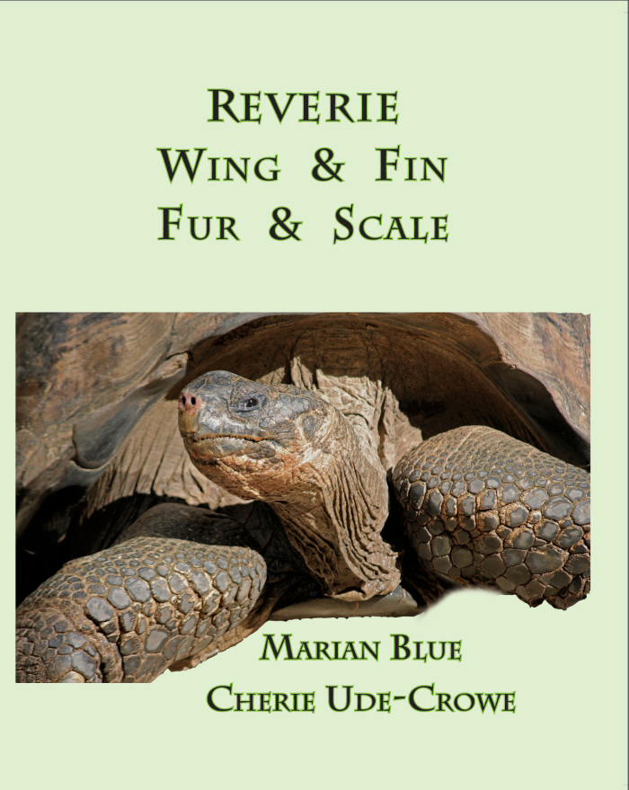 Book Jacket for Reverie Wing & Fin Fur & Scale with a tortoise.