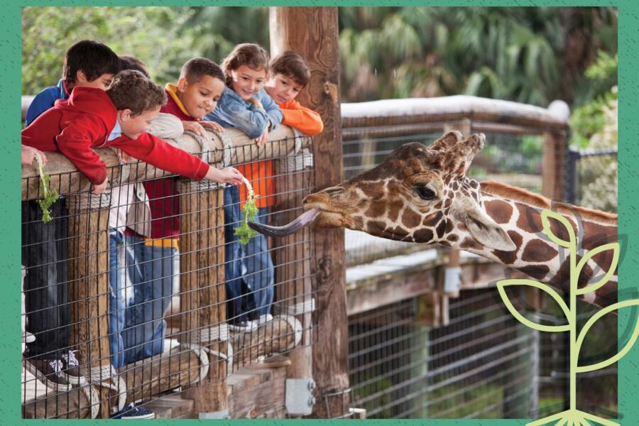 Children feeding a giraffe while leaning over a railing at the zoo.