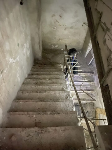 Stairs in an old building.