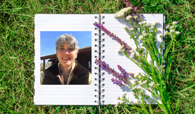 A notebook with a picture of a woman, amidst a field of blossoming flowers, reveling in the tranquility of the natural world.
