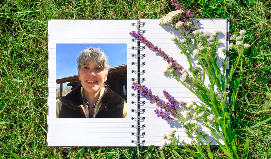A notebook with a picture of a woman, amidst a field of blossoming flowers, reveling in the tranquility of the natural world.