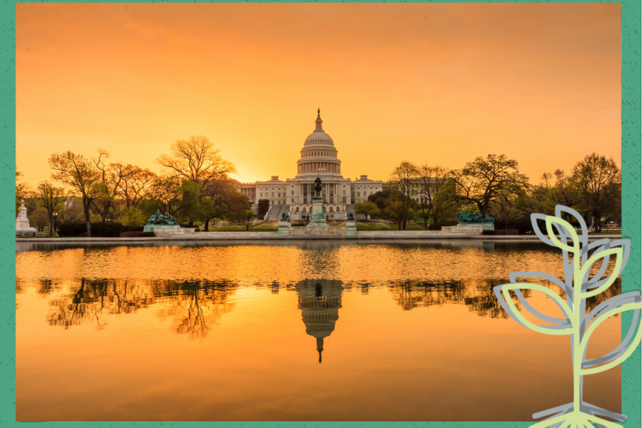 The Capitol building is beautifully reflected in the water during a serene sunset, creating a picturesque scene.