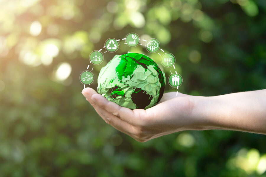 alt= A hand holds a green, textured globe with various eco-friendly icons surrounding it, symbolizing environmental sustainability. The background is a blurred, lush greenery.