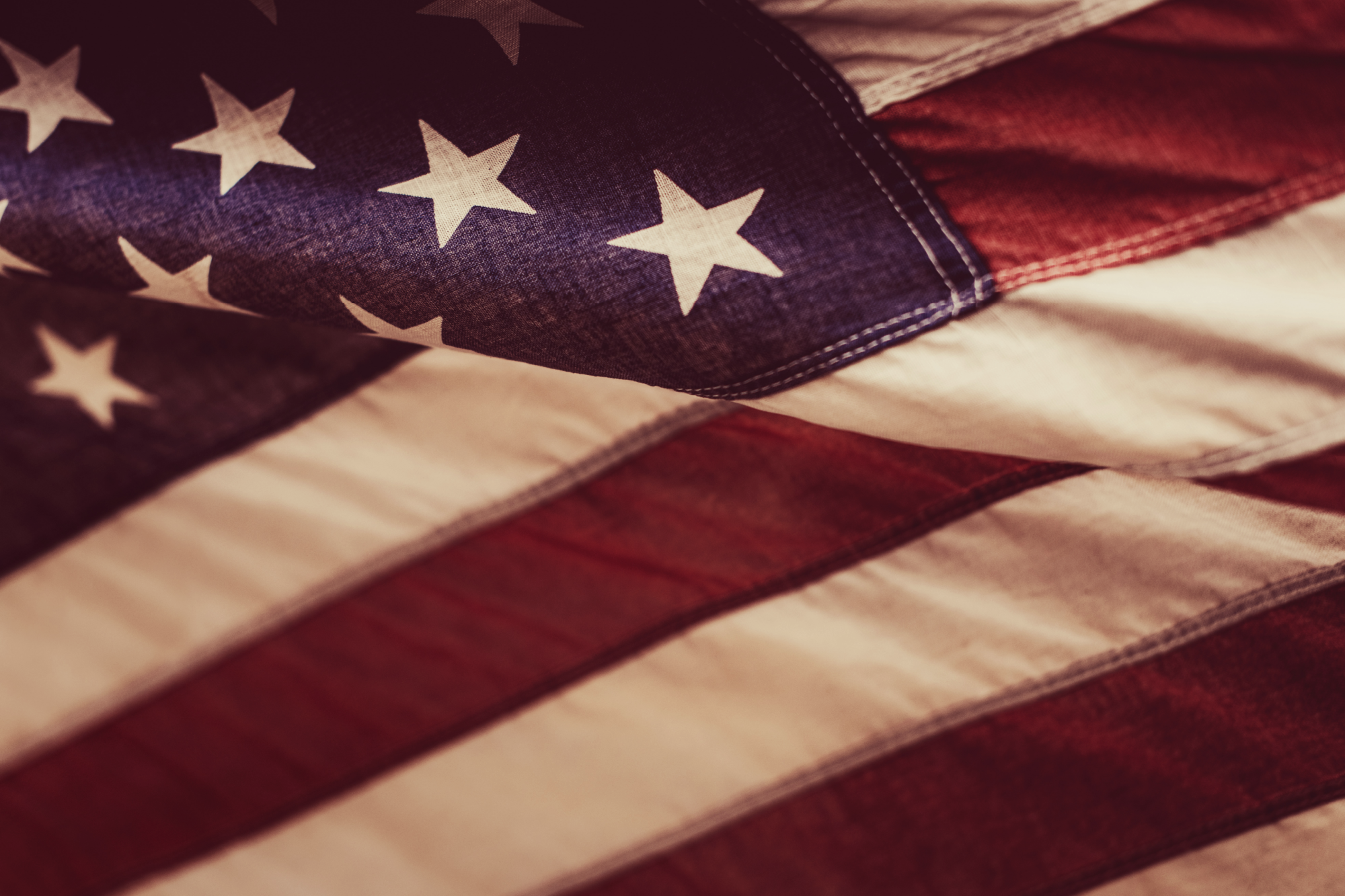 Veterans Day 2024: Honoring Those Who Honor Democracy