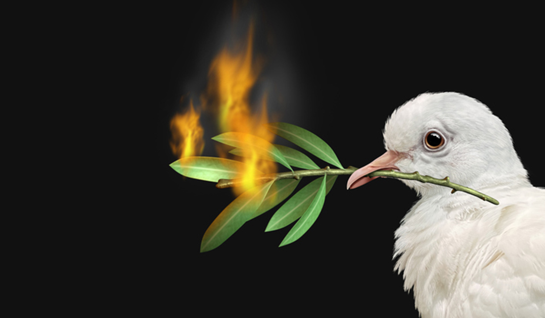 Dove holding a burning olive branch in its beak.