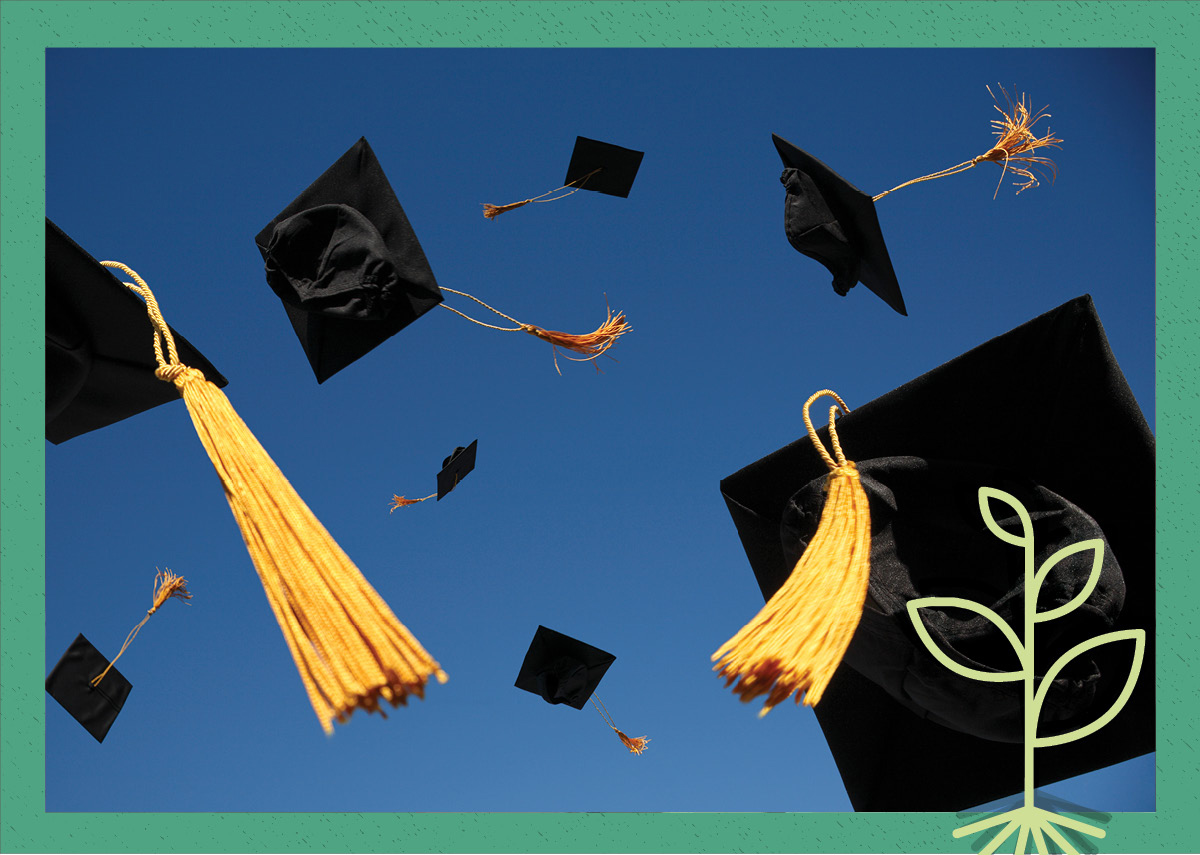 Blue sky with black and gold graduation caps flying in the air.