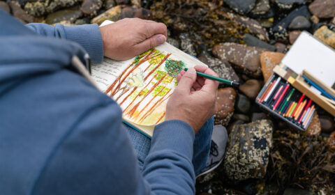 A person in a blue shirt drawing and painting trees in a sketchbook.