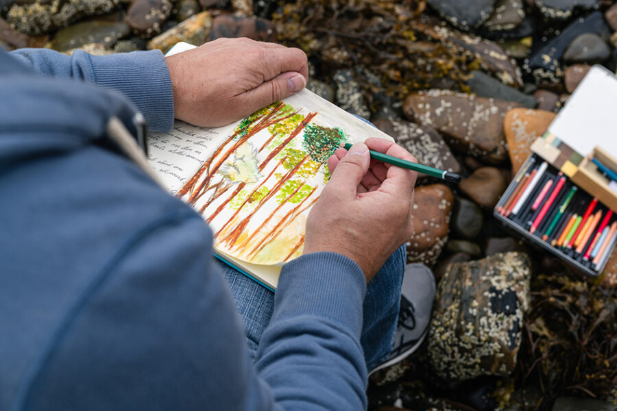 A person in a blue shirt drawing and painting trees in a sketchbook.
