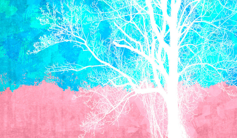 Transgender LGBTQ Watercolor Background of Pastel Blue and Pink with Tree Silhouette