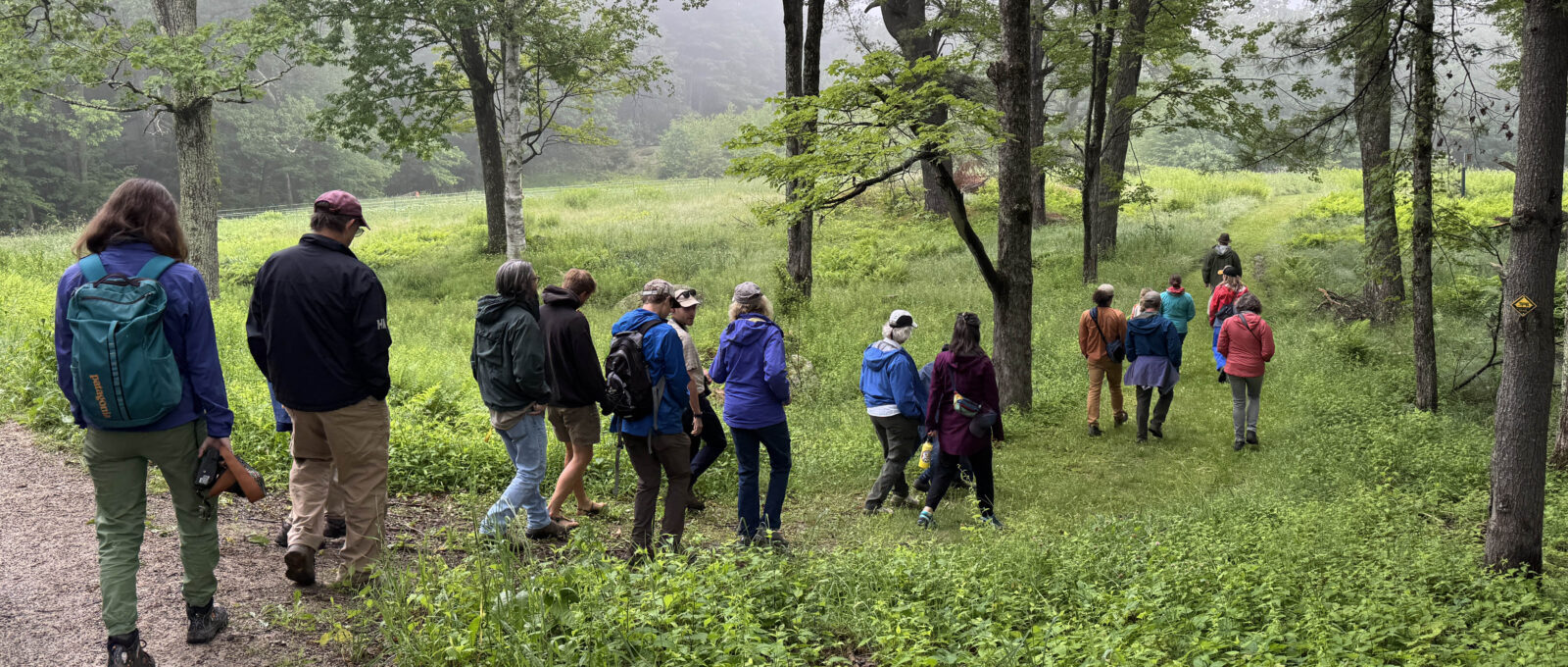 A photo of about a dozen hikers walking off into a forested field.
