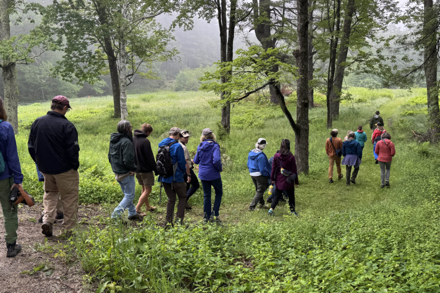 A photo of about a dozen hikers walking off into a forested field.