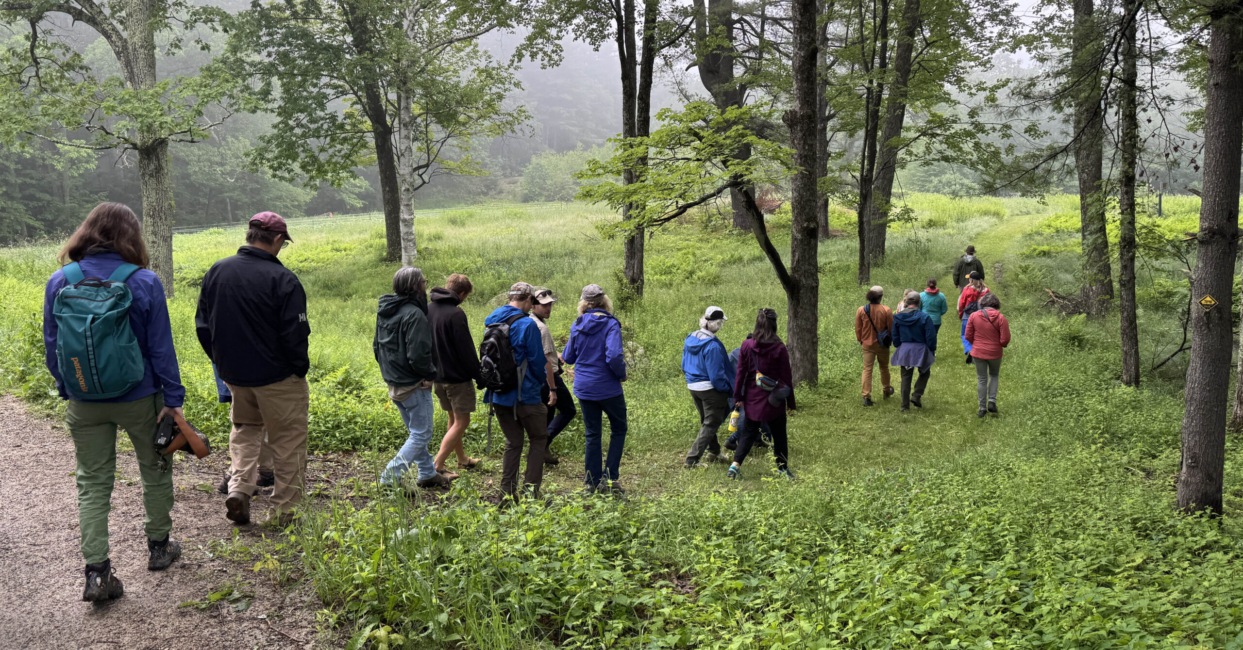 A photo of about a dozen hikers walking off into a forested field.
