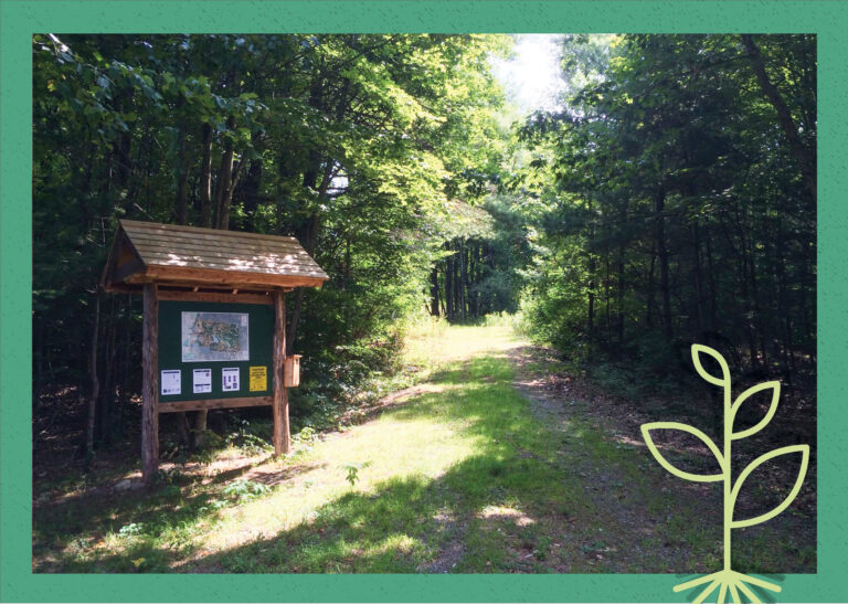 A cover image for the Seed Field Podcast showing a photo of a forest trail with an informational kiosk to the left, overlaid with a green border and a stylized sprouting plant symbol