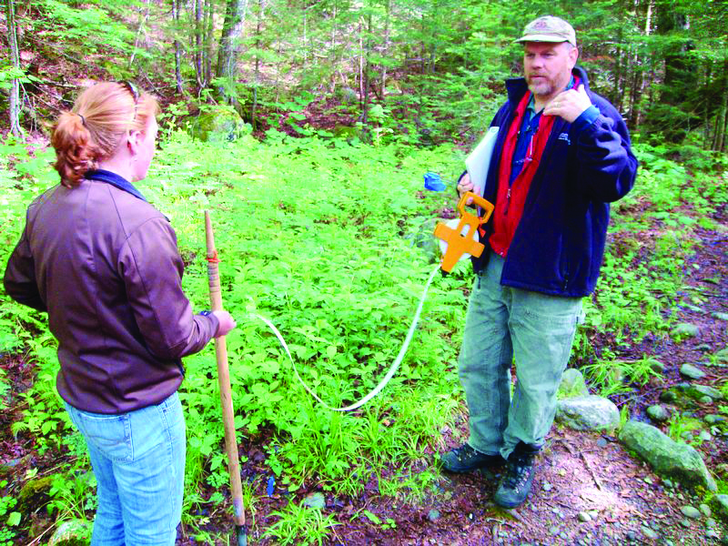 Two people in a lush forest use a yellow field instrument connected to a white hose, while one person gestures and the other holds a wooden stake and notebook.