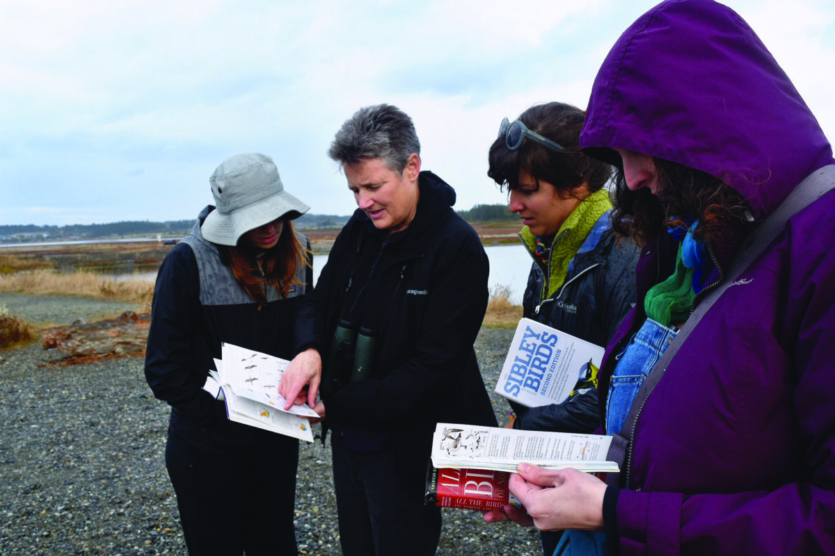 Group of four people outdoors reading brochures and maps together in a rocky coastal area, dressed in jackets and hats.