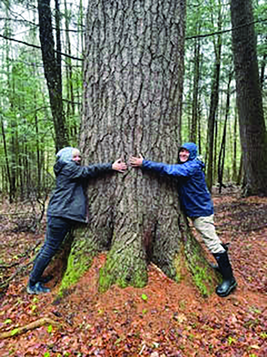 Tom and Sandy at Glovers Ledge, hugging tree, trees, Glovers Ledge